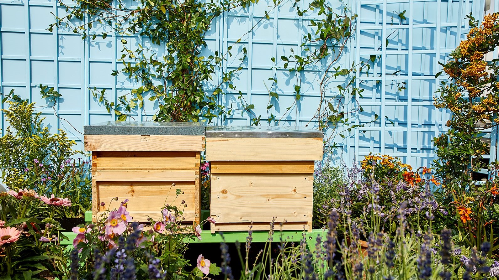 Hotel review Sustainability' - One Aldwych - 0