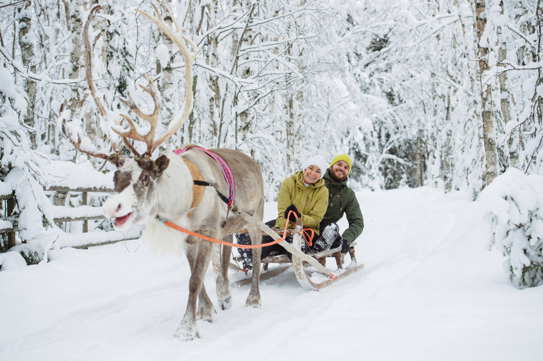 Lufthansa jingles all the way to Lapland   image