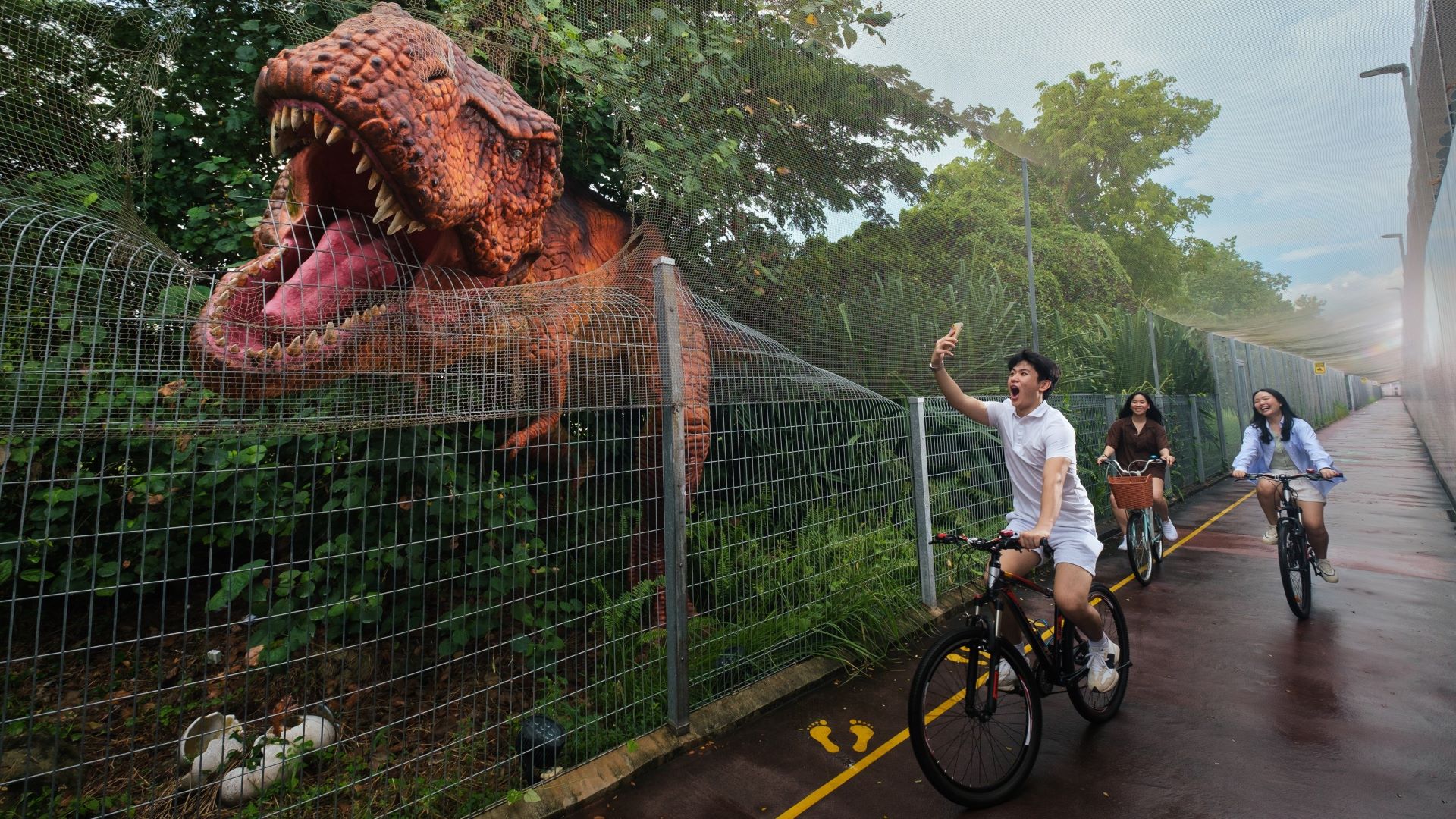 Changi offers transit passengers free bicycle rentals image