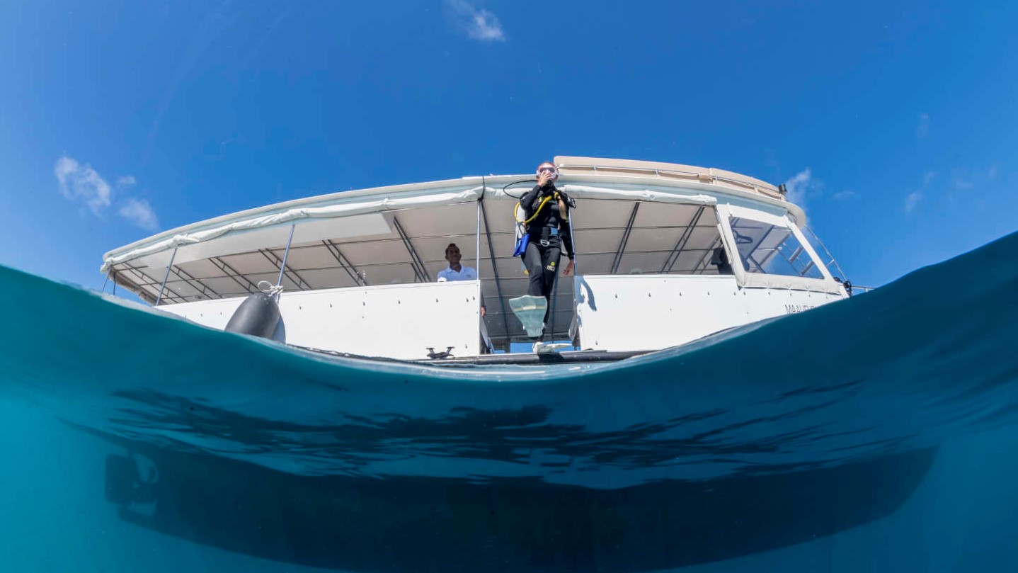 The Best Dive Sites in Maldives image