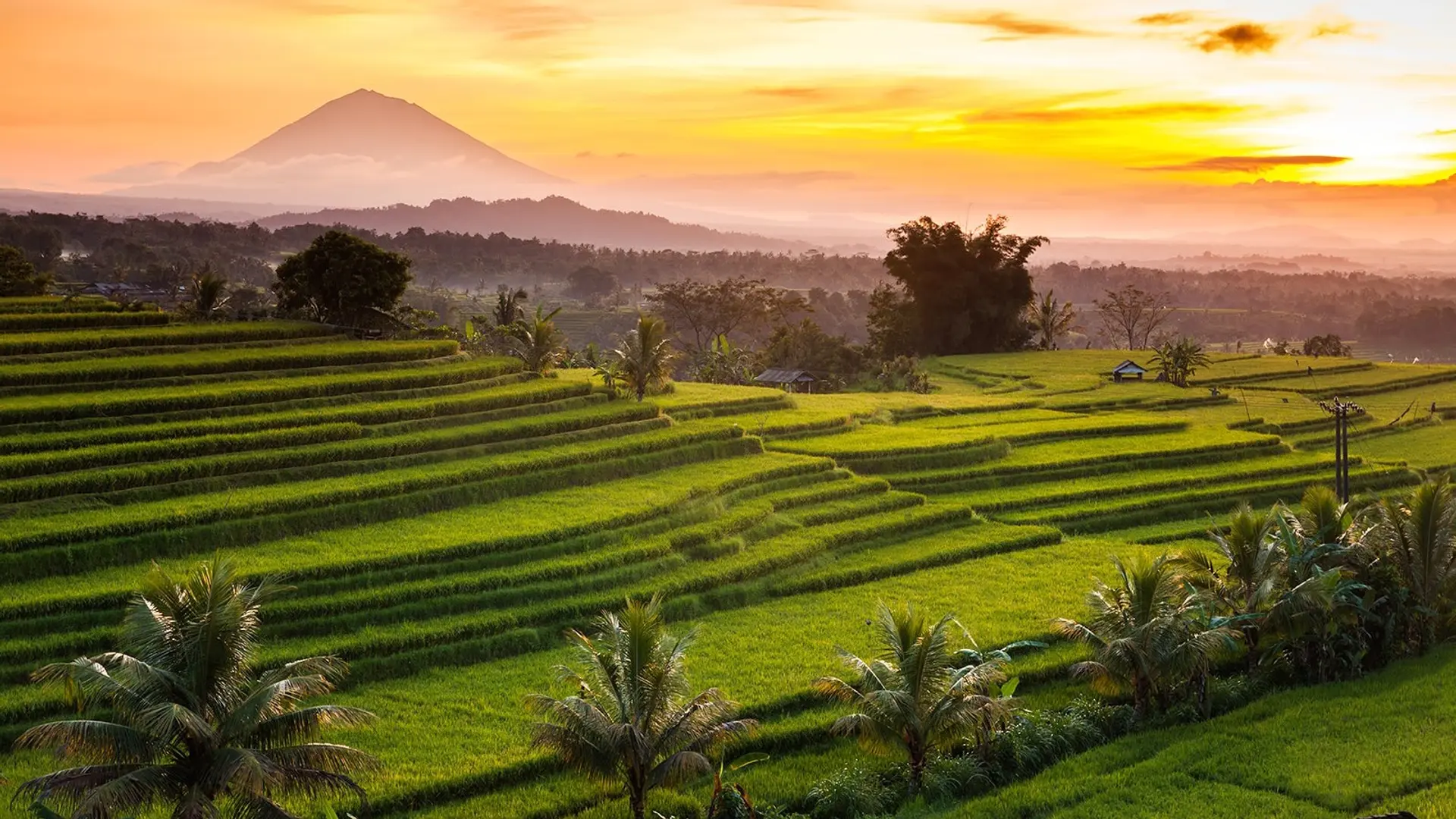 Destinations Toplists - Top 10 Unmissable Things to Do in Bali in 2025