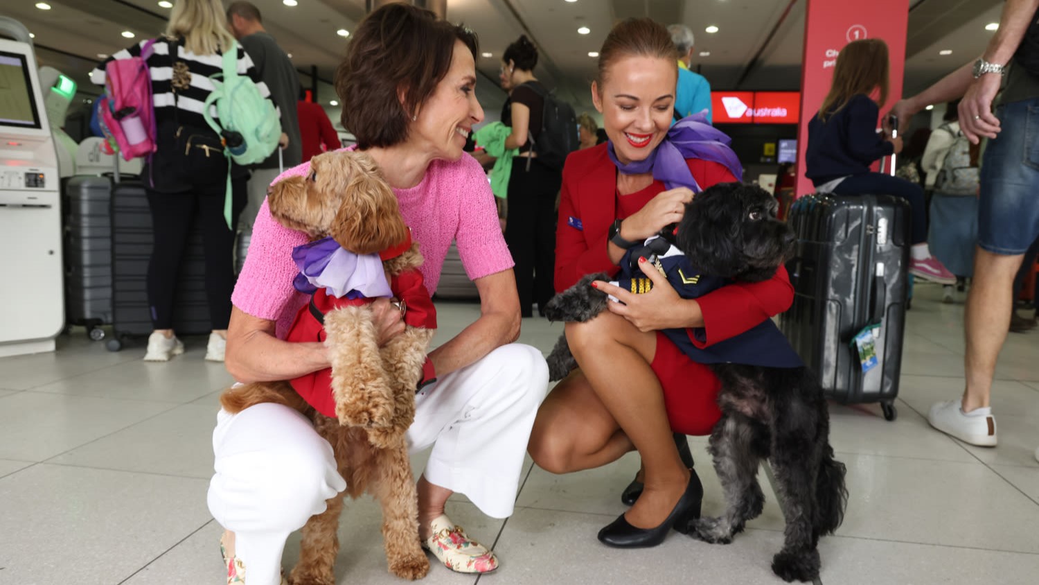 Airlines News - News: SAS - Finnair - Virgin Australia