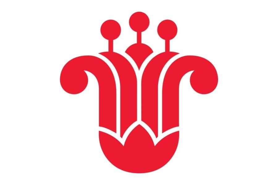 China Southern image