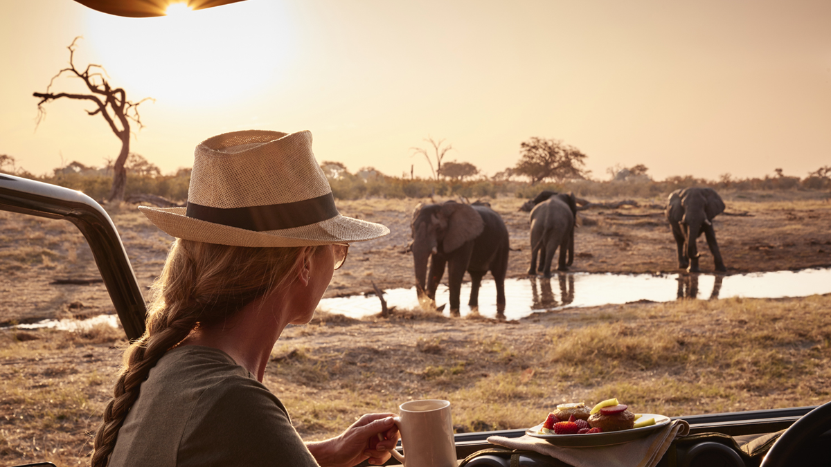 11 Best Modern Safari Experiences In The World image