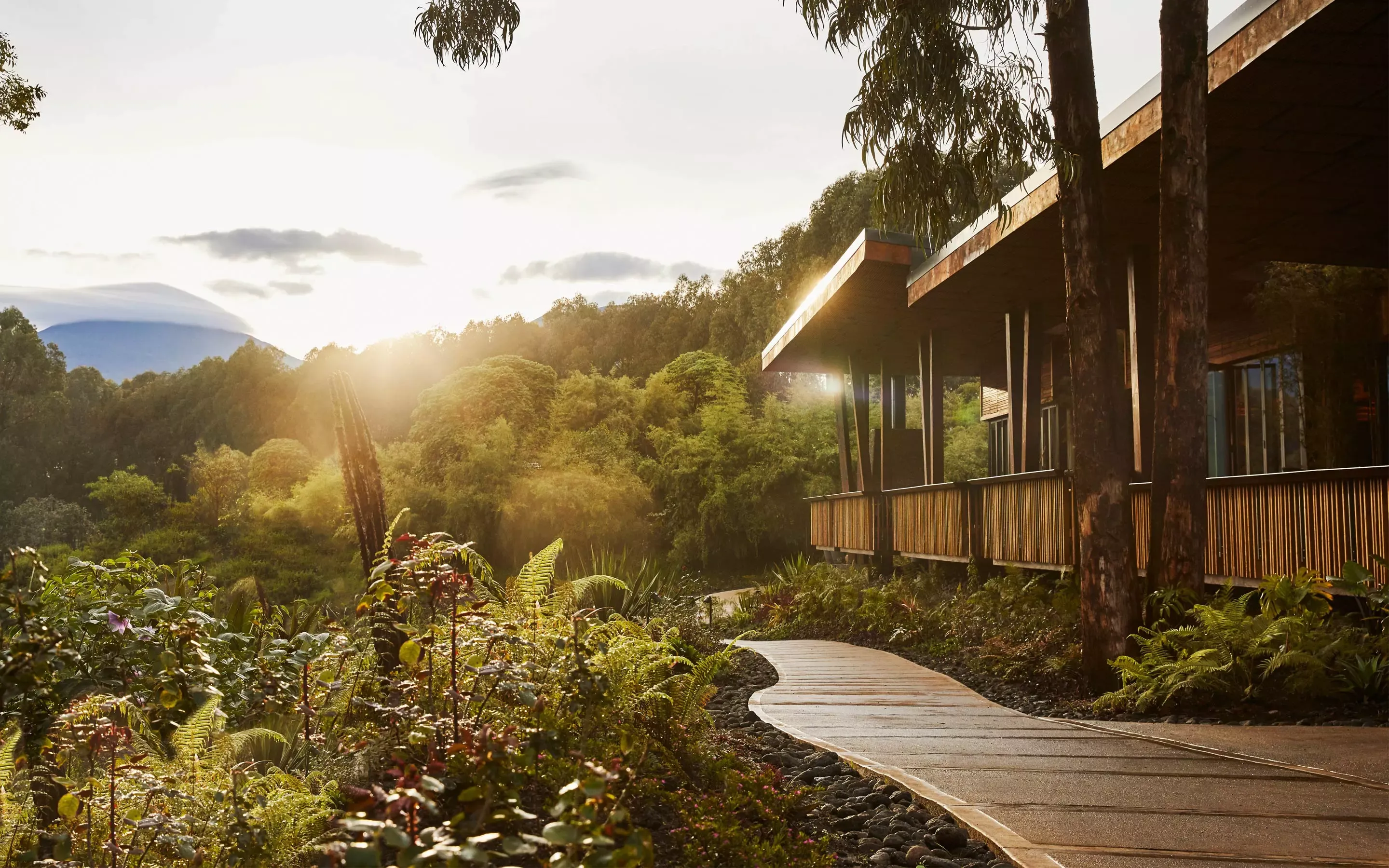 One&Only Gorilla’s Nest