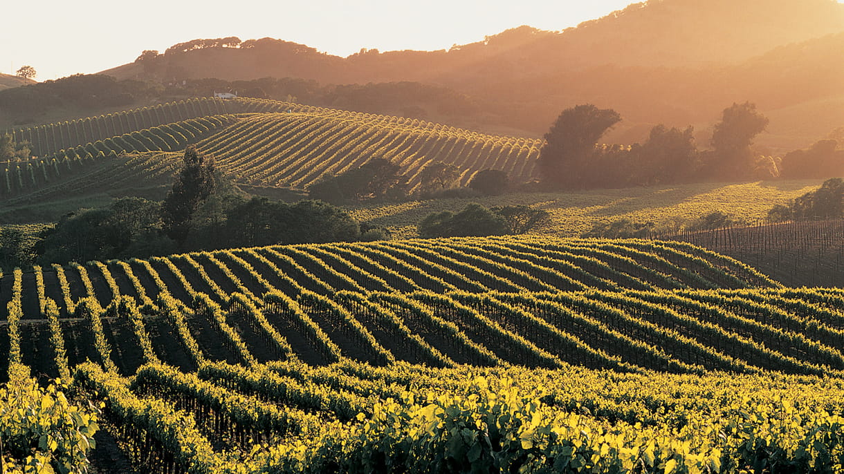 Hotels News - Hyatt Announces The Opening Of Its 1,000th Hotel