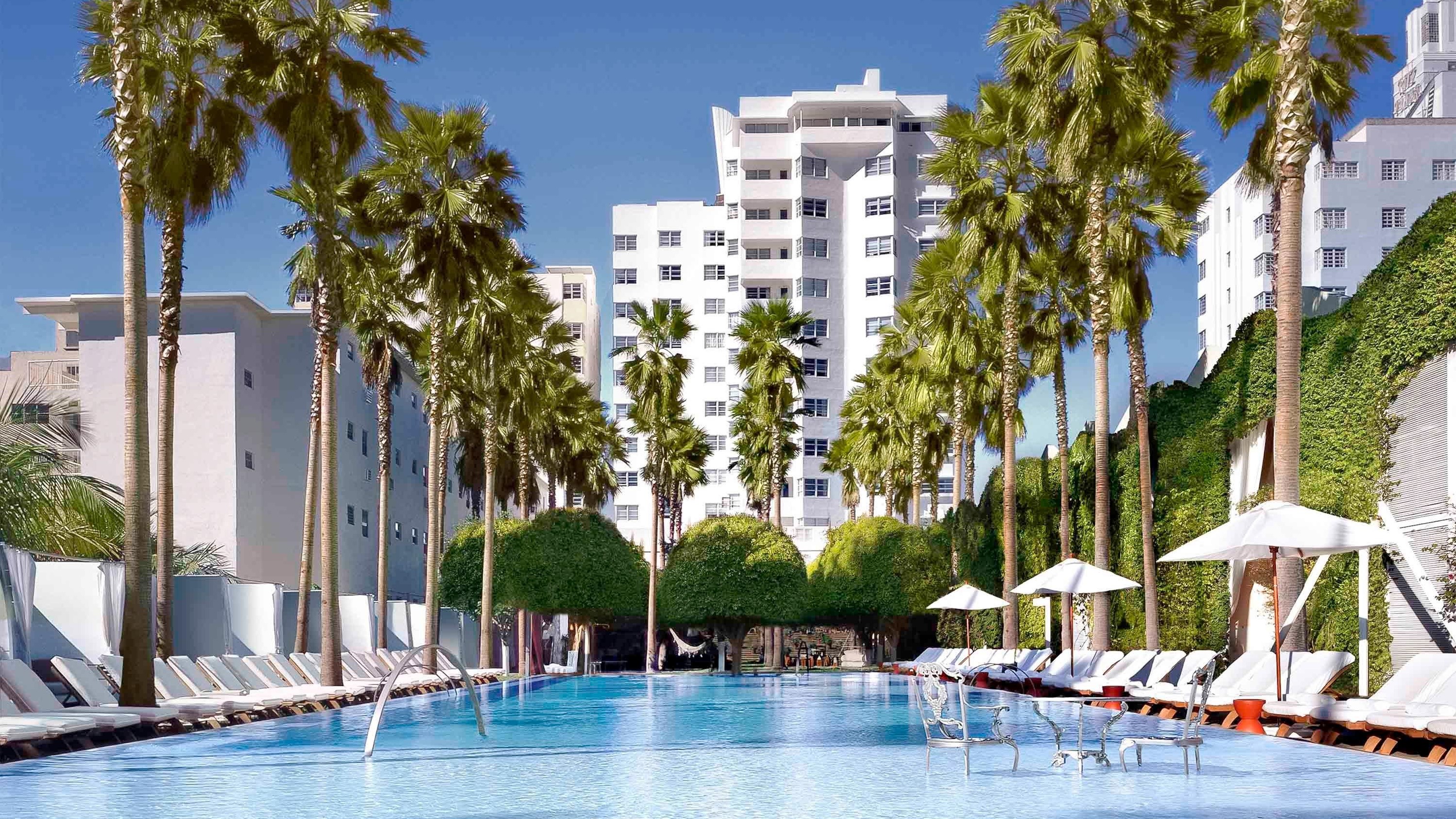 The Best Luxury Hotels In Miami image