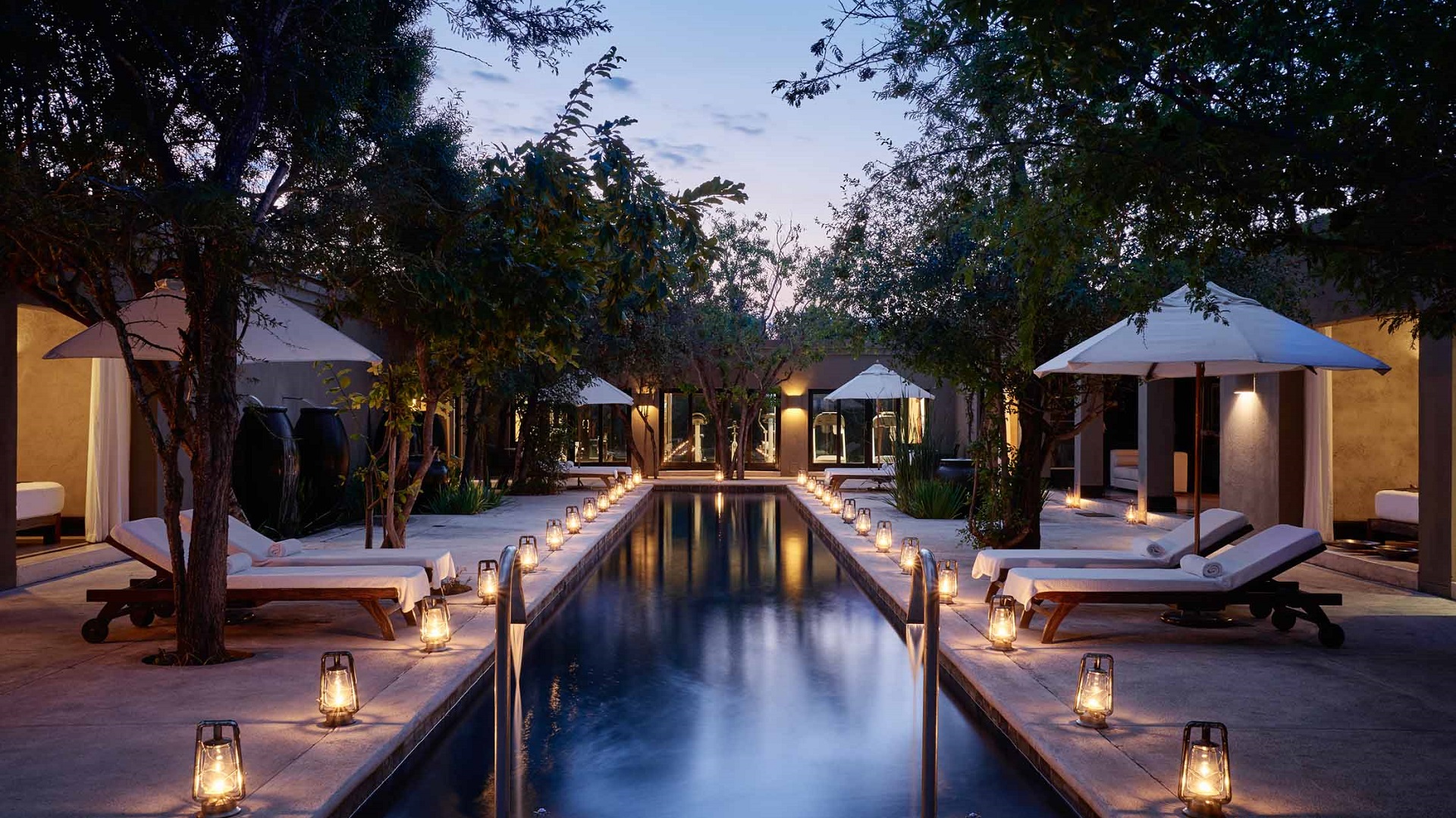 Long pool with sunbeds and beautiful nature at Royal Malewane