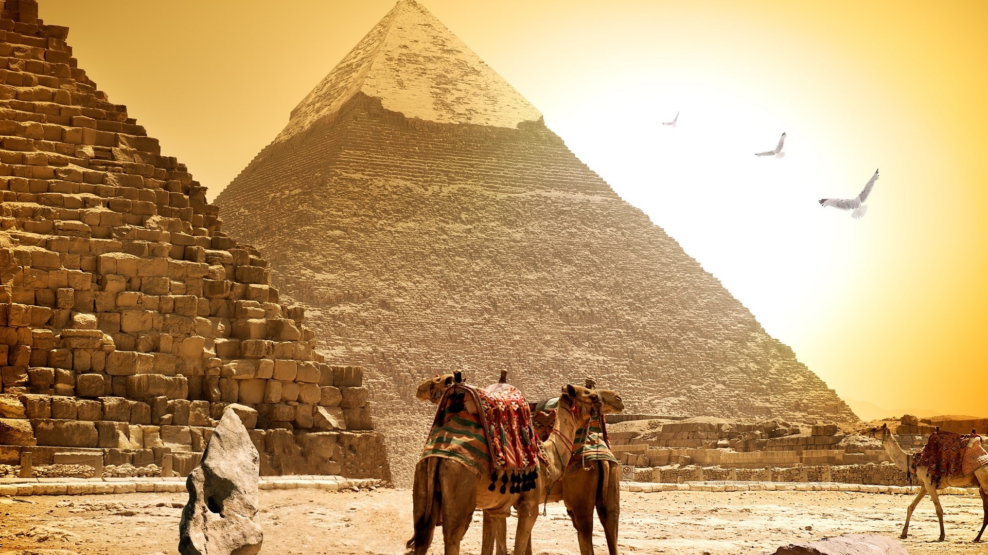 Cairo Travel Guide image