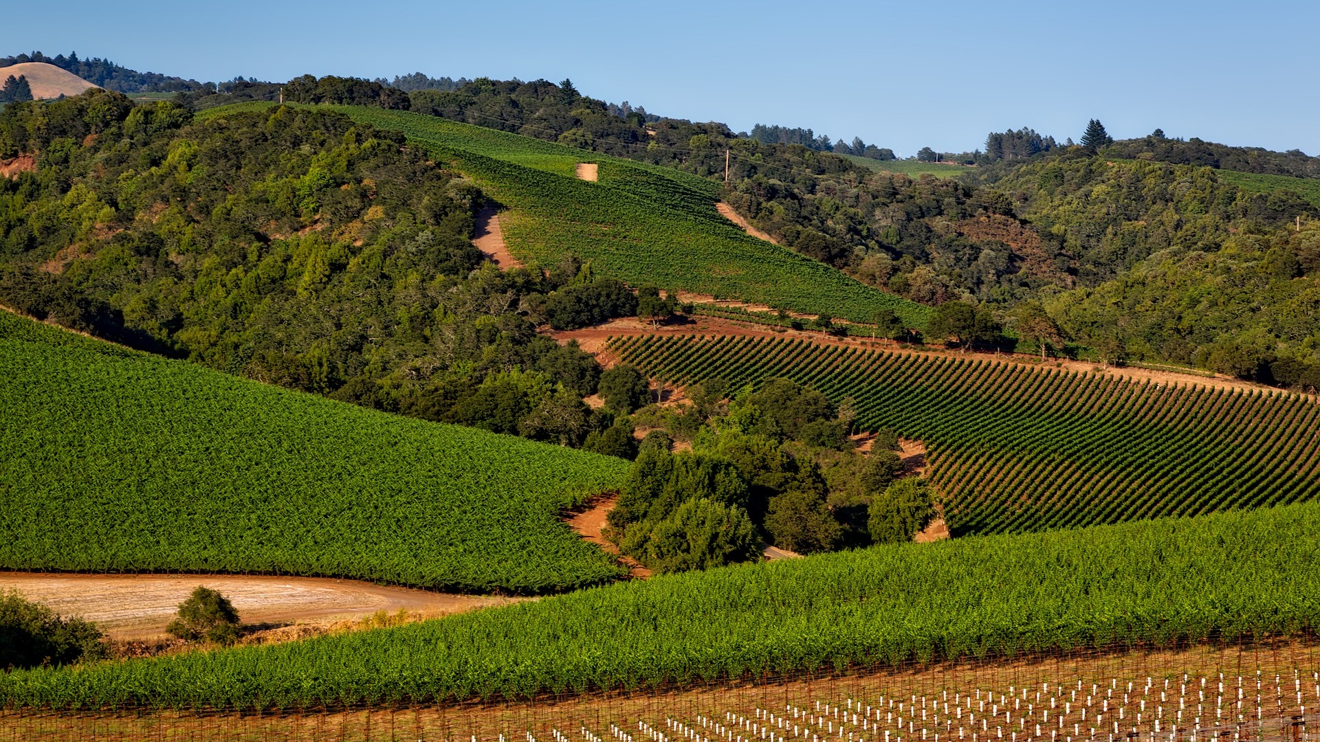 Hotels News - Hyatt Announces The Opening Of Its 1,000th Hotel