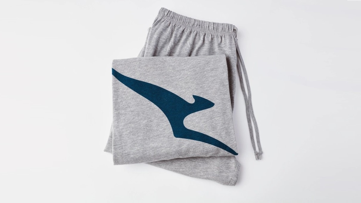 Airline review Amenities & Facilities - Qantas - 1