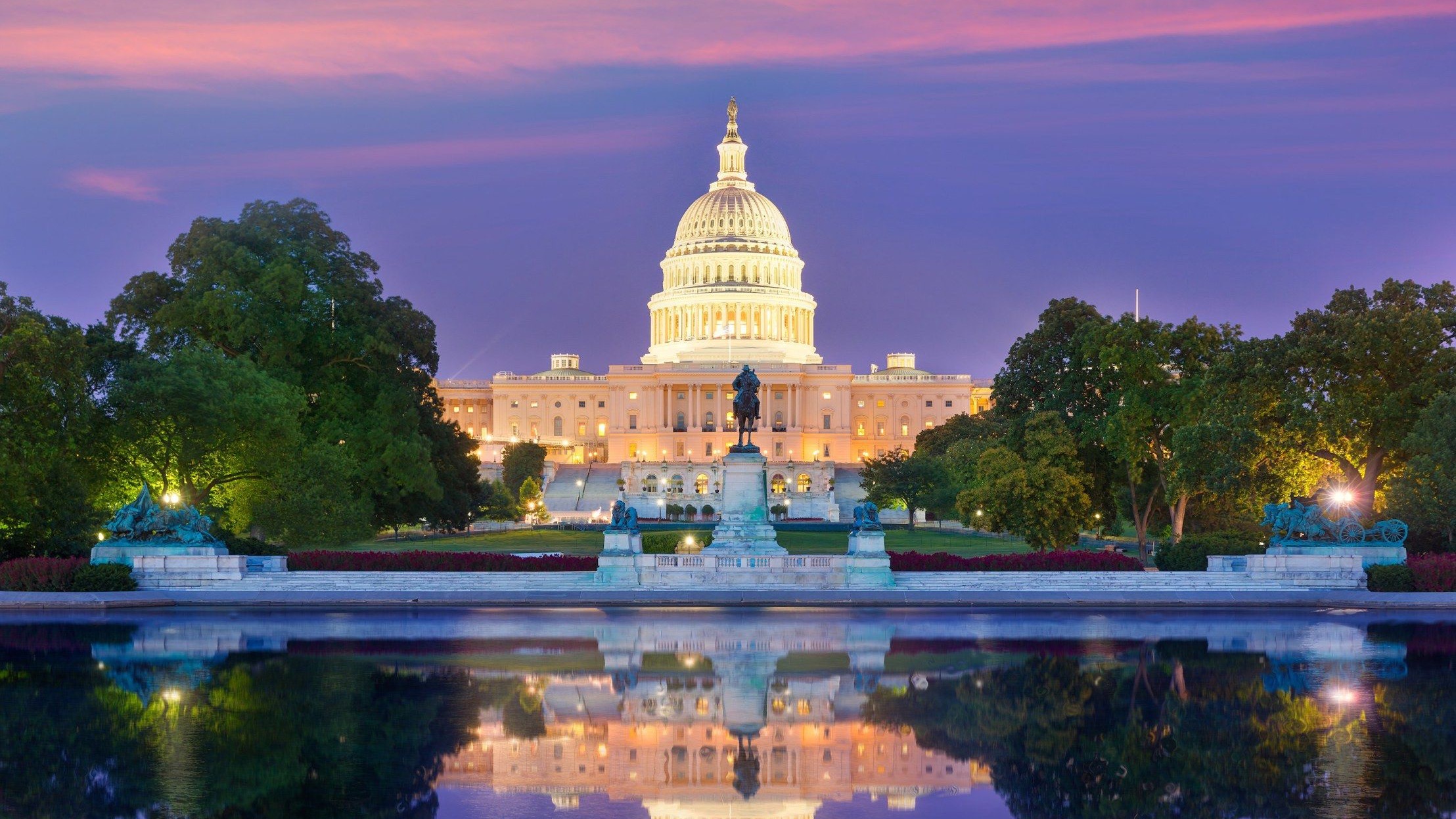 Washington D.C. Travel Guide image