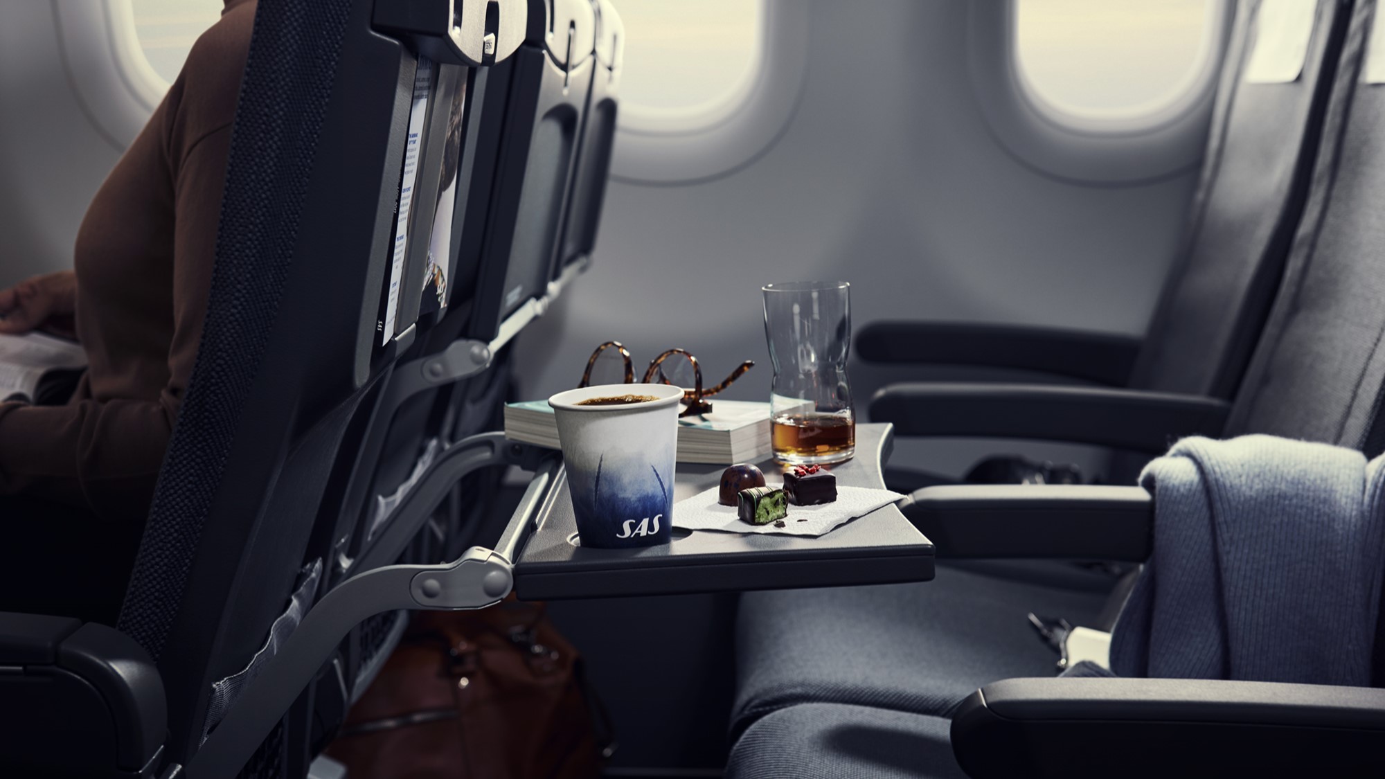 Airline review Short- & Medium-haul - SAS - 0