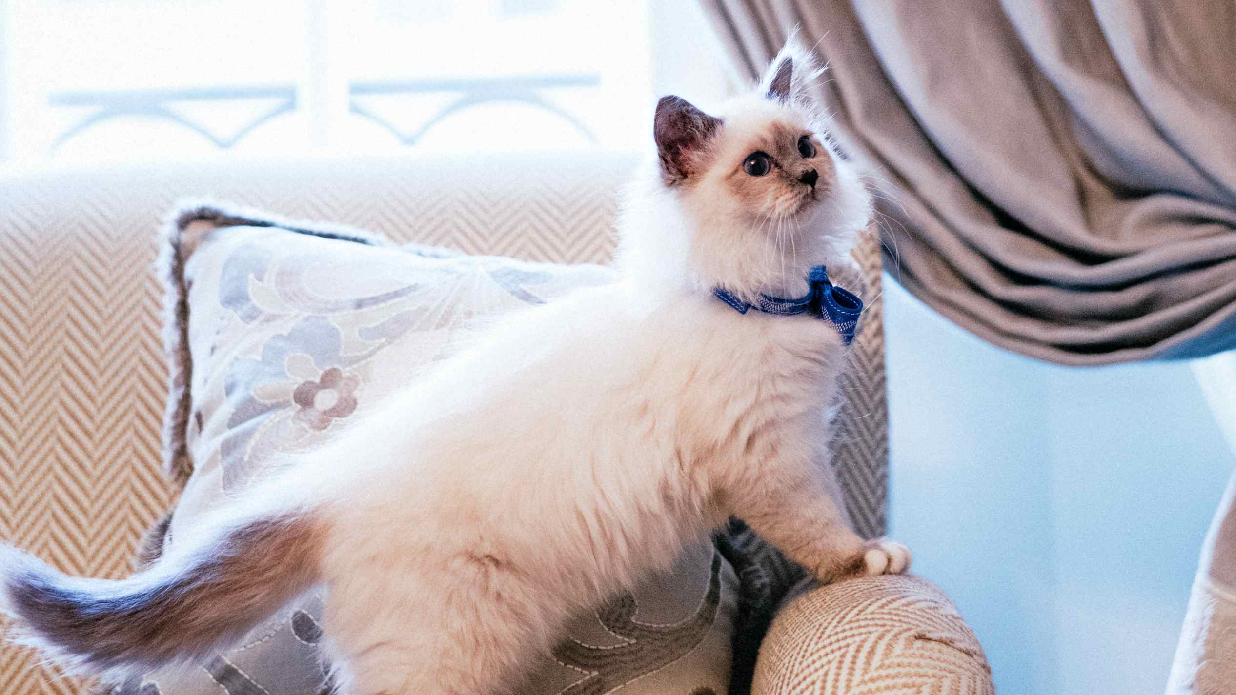 Hotel review Service & Facilities' - Le Bristol Paris - 2