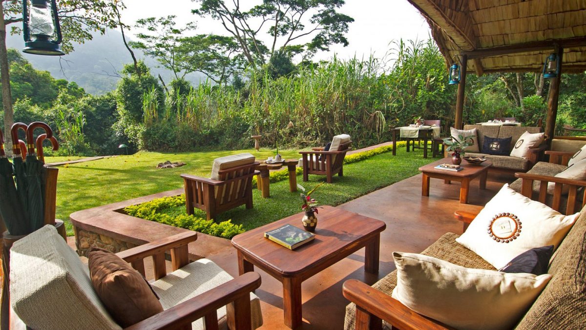 Garden view with wooden sofas and chairs