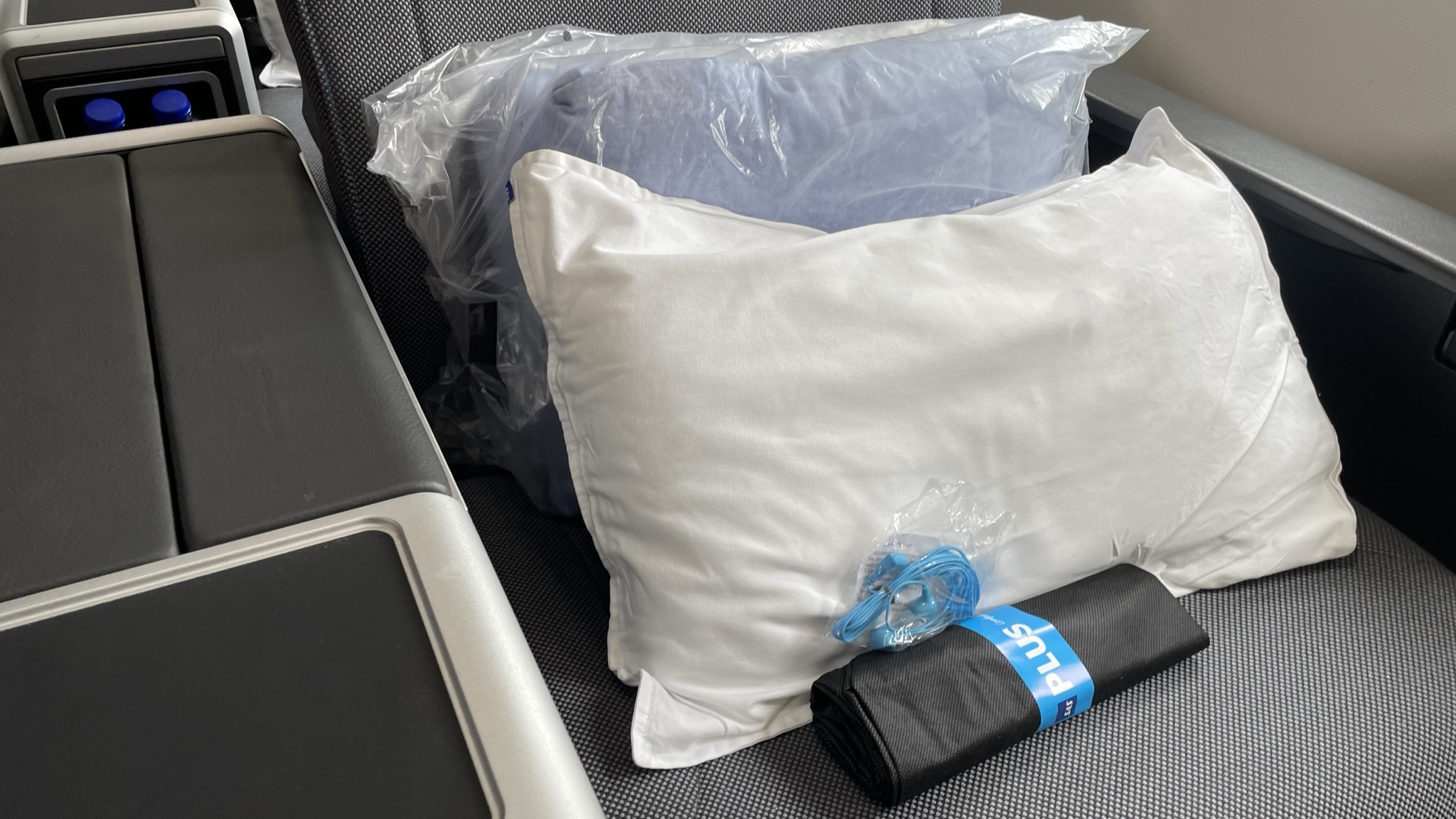 Airline review Amenities & Facilities - SAS - 1